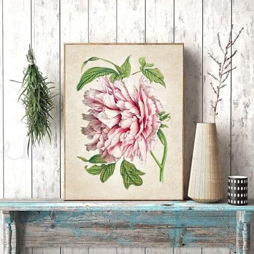 Vintage Pink Peony Botanical Flower Prints Kitchen Wall Decor , Retro Plants Wall Art Pictures Canvas Painting Living Room Decor