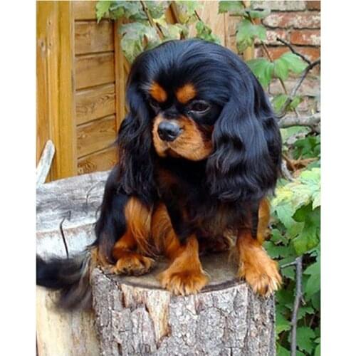 5D DIY Diamond Embroidery Cavalier King Charles Spaniel Long Haired Diamond Painting Dog Cross Kit Picture Home Decoration