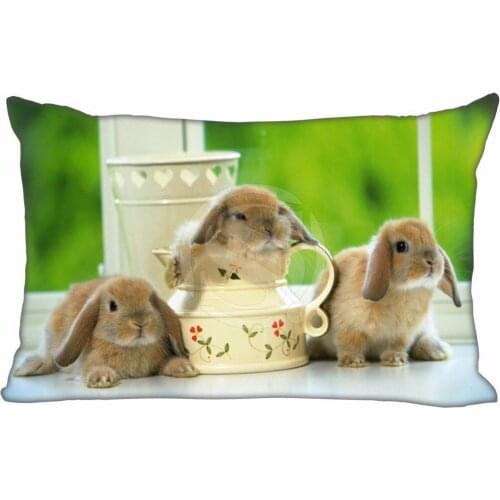 New Animal rabbit Pillowcase Custom Zippered Rectangle Pillow Cover Cases Size 40x60cm (Two sides) T831&w#M27