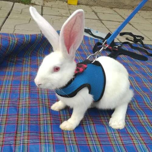 Soft Rabbit Harness Cat Harness With Lead For Small Animals, Kitty Pet Harness And Bunny Cat, Little Pet Walking Supplies Tools
