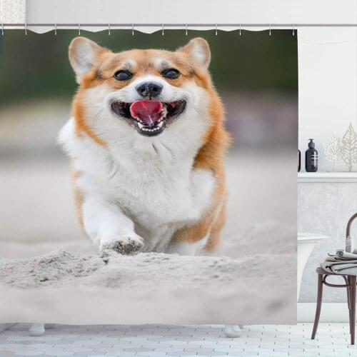 Shower Curtain Set with Hooks for Bathroom 60x72 Green Walk Friend Funny Lovely Happiness Corgi Pet Park Sunny Dog Outside