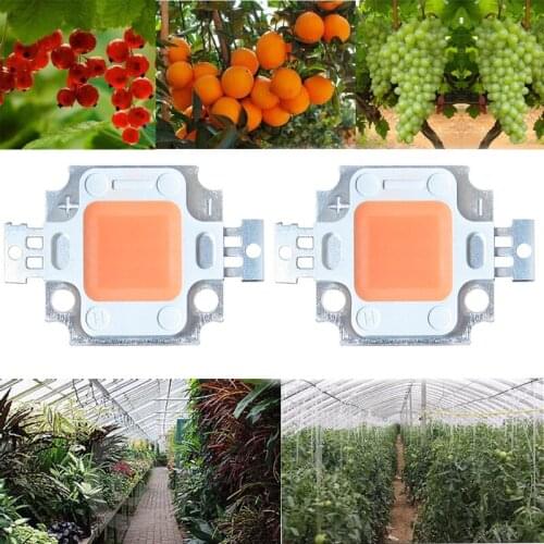10pcs 10w Cob Grow Led Chip BridgeLux 45milFull Spectrum 400nm~840nm Led Ligh Emitting Diode Bulb For Plant Grow Fast And Better