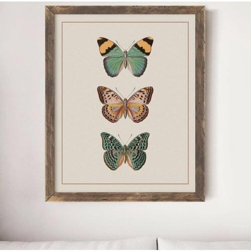 Beige Sepia Modern Victorian Butterfly Vintage Posters And Prints Insect Education Wall Art Canvas Painting Baby Kids Room Decor