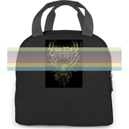 Winterfylleth New! New Hot Printing Novelty Cool women men Portable insulated lunch bag adult