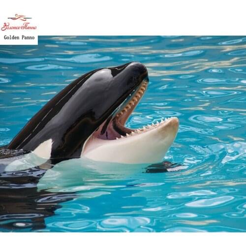 5D DIY full square diamond painting animal diamond cross stitch mosaic rhinestones Killer Whale painting wedding decor home