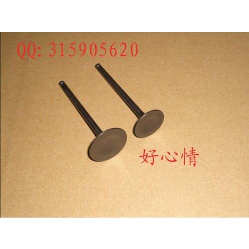 New free shipping Jinan qingqi tibetan mastiff qm200gy intake and exhaust valves combination For suzuki dr200 gxt200 parts