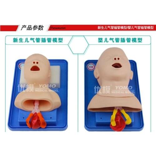 Neonatal/infant tracheal intubation training model Airway Management Model