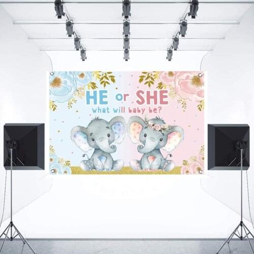 Blue or Pink Gender Reveal Party Backdrop Boy or Girl Baby Shower Flowers Photo Background Gender Surprise Party Decoration