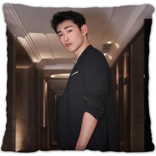 Allin Wang Yanlin Pillowcase Pretty Scholar Yu Lexuan Same Paragraph Star Photo Poster Cushion Cover Star Surrounding Home Decor