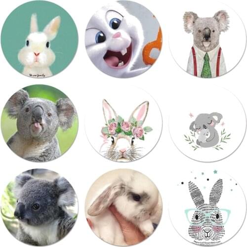 Cute animals Mr Koala Easter Bunny Rabbit Icons Pins Badge Decoration Brooches Metal Badges For Backpack Decoration 58mm