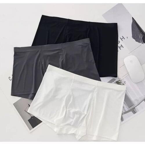 Summer Ice Silk Men Underwear Seamless Transparent Boxer Shorts Ultra Thin Sheer Breathable Comfortable Panties Underpants