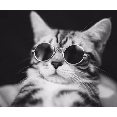 10pcs/lot Fashion Small Pet Dogs Cat Sunglasses Cool Eye-wear Protection Pet Glasses Round Frame Wedding Party Funny Glasses