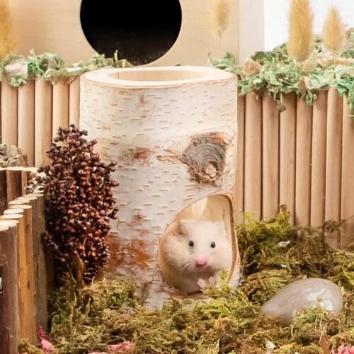 Pet Hamster Small Animal Accessories Feeding Supplies Cages Toys House Natural Birch Tree Hole Trunk Tunnel Pet Cave Shelter