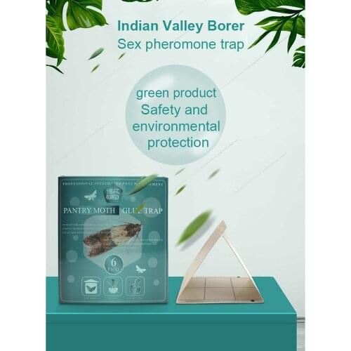 6/12pcs Moth Traps Kitchen Food Moth Pheromone Trap Killer Moth Gnat Stickers Traps Restaurant Pheromone Trapping Technology