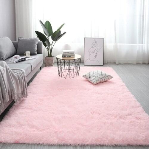Fluffy Carpet For Living Room Shaggy Bedroom Decor Carpets Decoration Store Hotel Area Rugs Home Floor Door Mat carpets