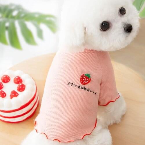 Spring And Summer Pet Sweater Thin Breathable Strawberry Sweater Solid Color Base Shirt Small Medium Pet Clothes Teddy Chihuahua