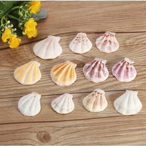 10PCS Mediterranean Style Beautiful Beach SeaShells Mix Sea Natural Shells Shell Crafts for Aquarium Fish Tank Decor