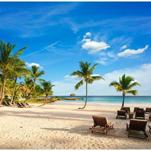 VinylBDS Background Bule Sky Dusk Sandy Beach Photo Backdrop For Summer Wedding,Party,Children Chairsphotographic Background