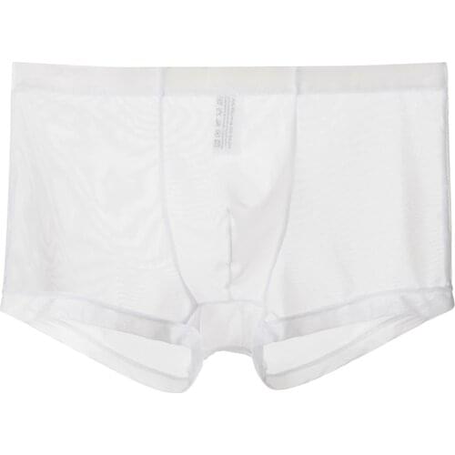 Mens Sexy Mesh Boxer Briefs Thin Transparent Underwear Casual Shorts Comfortable Trunks Underpant Breathable