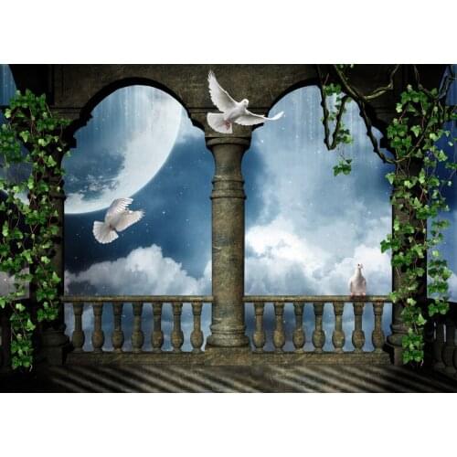 Paradise pigeon newborn photo backgrounds vinyl Alice fairy Photography backdrops for photo Studio accessories photophone F-3017