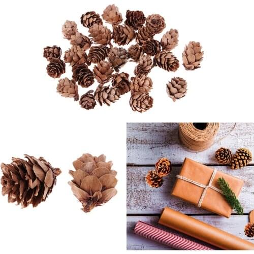 120pcs Mini Decorative Pinecone Pine Cones Vase Bowl Filler Displays Decor