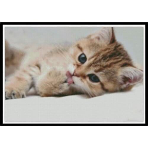 5D diamond painting animal cat DIY stick drill cross stitch embroidery Christmas decorations round diamond mosaic handmade gift