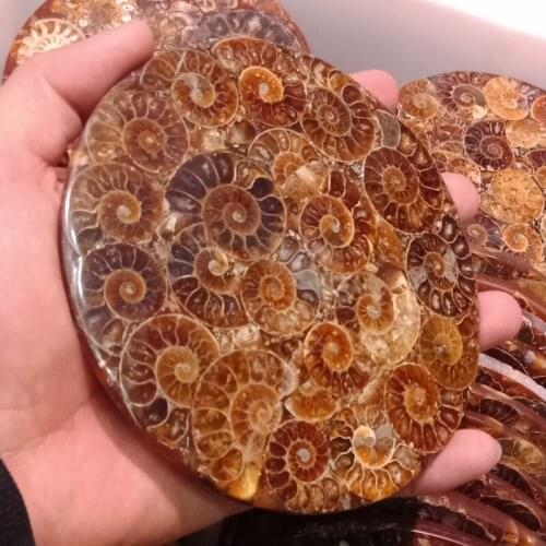 Dhxyzb 11-12cm Natural ammonite fossil stone Original Slice Plate Stones Healing Reiki energy Crystal Mineral Specimen rough