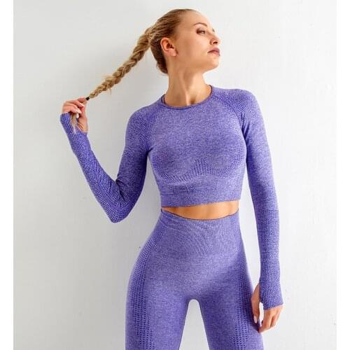 New Womens Sportswear Yoga Sets Ribbed Seamless Long Sleeve Workout Clothes for Women High Waist Sports Legging Long Sleeve Top
