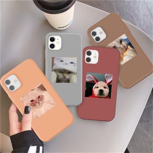 Cute Cat Dog Rose Printed Case For iPhone 11 12 Pro XS MAX 6 6s 7 8 Plus 12 mini X XR 5S SE 2020 Soft Camera Protection Covers