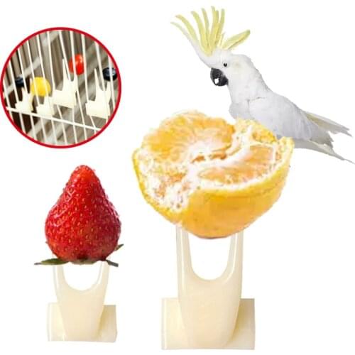 Bird Non-Toxic Resin Fruit Fork in cage 2Size Pet Convenient Feeder Fruits Meat And Vegetables Parrot Parakeet Palomas Supplies
