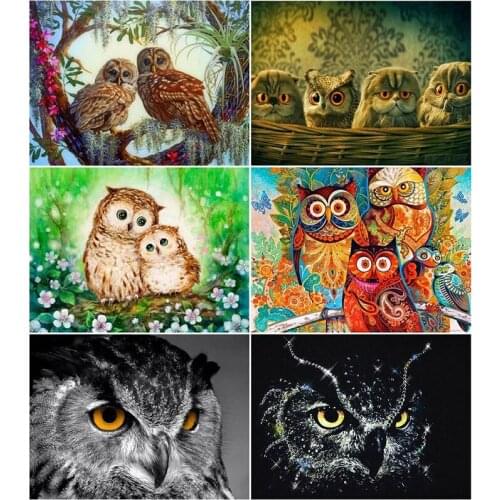 5D DIY Diamond Painting Full Round/Square Owl Diamond Embroidery Animal Home Decoration Picture Mosaic Rhinestone Handmade Hobby