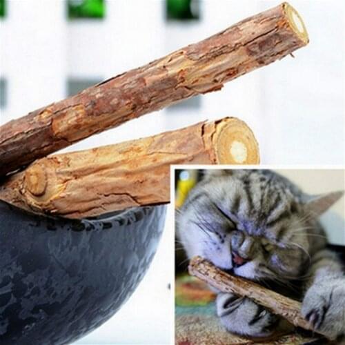 Grind Teeth Natural Catnip Pet Cat Molar Toothpaste Stick Matatabi Actinidia Fruit Silvervine Cat Snacks Sticks Pet