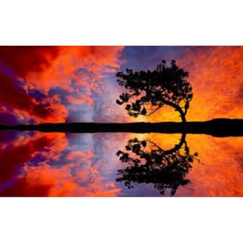 Full square/round Embroidery 5D DIY diamond painting Tree reflection 3D Cross stitch kits mosaic wall stickers