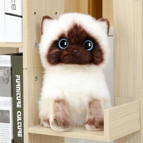 20/26CM Simulation Siamese Cat Plush Toy Blue Sequins Eyes Dolls Brown And White Face Ragdoll Cats Home Decor Cute Gift For Baby