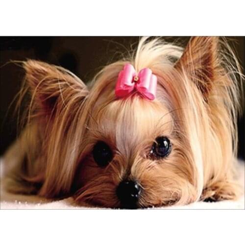 2018New DIY Round Full Mosaic 5D Icon Diamond Embroidery unicorn Rhinestones diamond Painting Cross Stitch Kits Home Decor