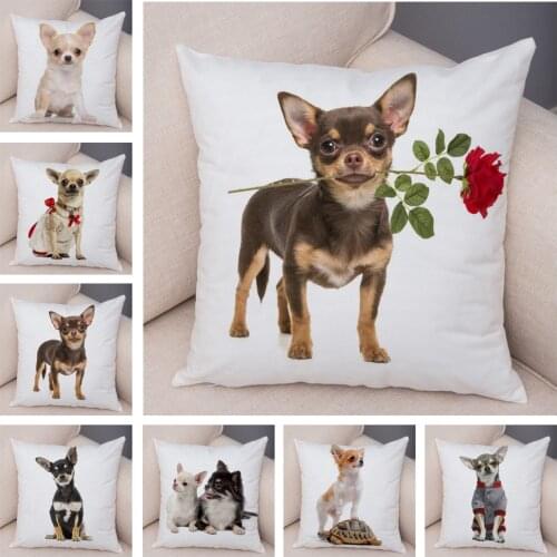 Lovely Pet Animal Pillow Case Decor Cute Little Dog Chihuahua Pillowcase Soft Plush Cushion Cover for Car Sofa Home 45x45cm