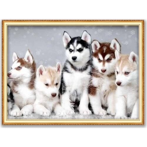 Animal Dog Husky DIY Cross Stitch Embroidery 11CT Kits Craft Needlework Set Cotton Thread Printed Canvas Home Decoration On Sale