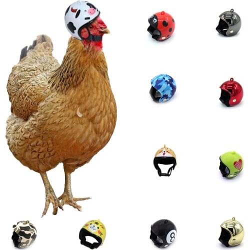 Pet Chicken Helmet Small Pet Poultry Bird Duck Headgear Hat Caps Head Protector Bird Head Helmet Pet Supplies 1 PC New Arrival