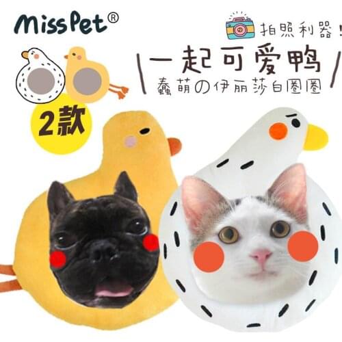 Miss PET: prevent dog and cat from scratching and licking after operation