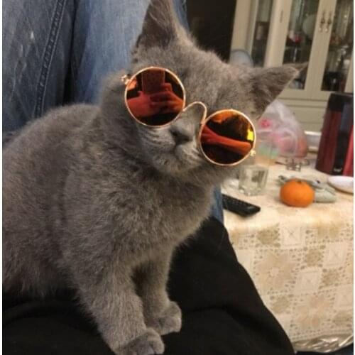 Pet Glasses Cats And Dogs Sunglasses Products Decorations Lenses Gadgets Goods Glasses Lanyard Pet Accessories