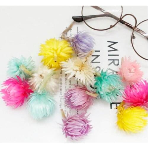 10pcs Dried Chrysanthemum Flowers Head Preserved Flower For Wedding Party Home Hotel Decoration DIY Bouquet Accessory