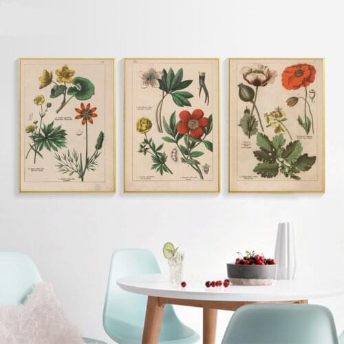 Canvas Painting Botanical Collection Vintage Herbs 1898s Russian Language Pictures Wall Art Posters Home Living Room Wall Decor