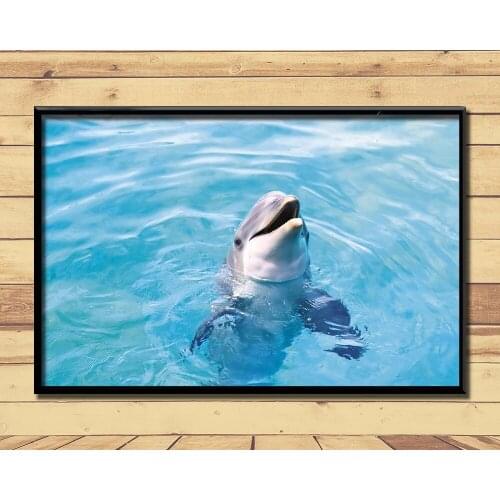 Dolphin Lovely Marine Animal (13) Wall Posters Prints Silk Art Painting For Home Wall Bedroom Decor