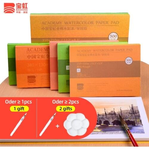 Baohong 300g/m2 Cotton Professional Watercolor Book 20Sheets Hand Painted Transfer Watercolor Paper for Artist Painting Supplies