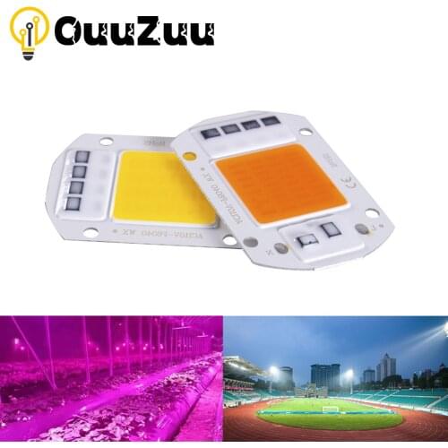 COB LED Chip Lamp 220V 110V LED Bulbs Full Spectrum 20W 30W 50W Phyto lamp IP65 Smart IC DIY Flood Light Bulb Spotlight Outdoor