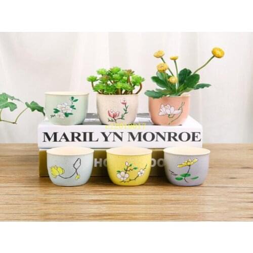 Creative meaty flowerpot mini handmade flower pot