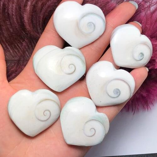 5pcs Natural Sun shell fossil Fossil Specimen Crystal Love Heart Reiki Shiva Eye