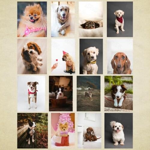 Diy Diamond Painting Cute Small Animals Puppy Dog Pet Hanging Painting Artistic Conception Girl Bedroom Decoration Painting