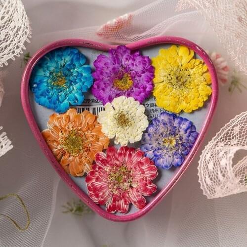 250pcs Pressed Dried Flower Dye Chamomilla Herbarium For Epoxy Resin Face Make UP Nail Art Jewelry Bookmark Phone Case Card DIY