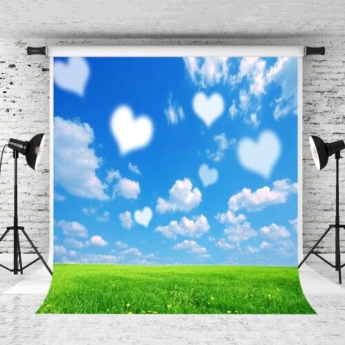 VinylBDS 200x300cm Spring Photo Backdrops Love Bright Backgrounds Blue Sky Backdrops Photography Fondos For ValentineS Day